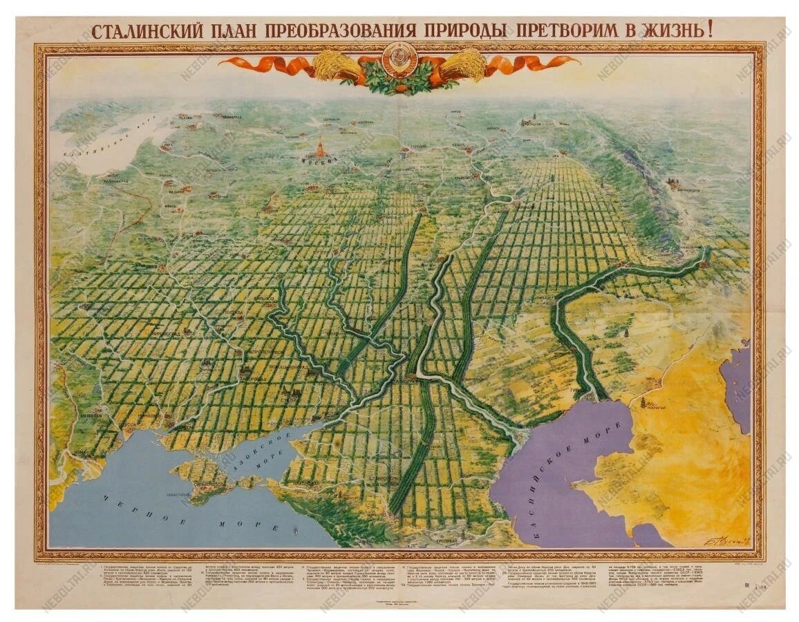 Что стало с лесостенами, которые высаживали в начале 1950-х?