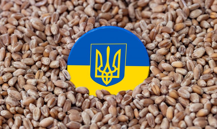 На Украине заявили о невозможности президентских выборов в военное время
