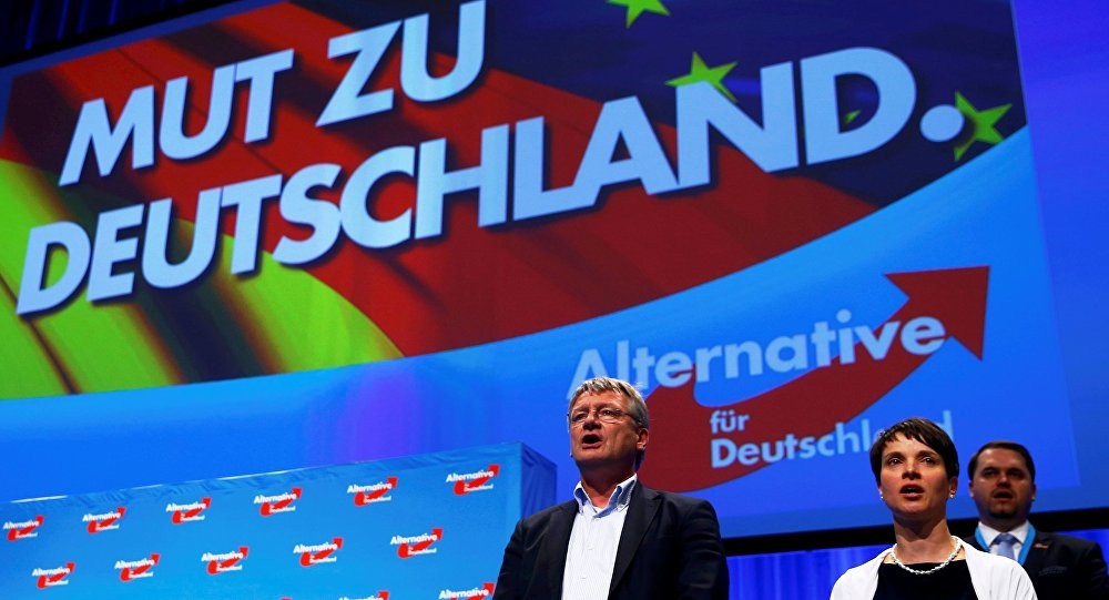 'Minus Migration': German AfD Party Pledges to Deport 200,000 Migrants Per Year