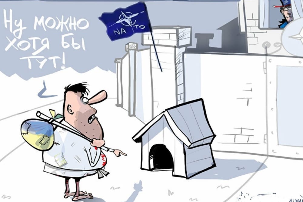 «Нет смысла обсуждать вступление Украины…». Итоги саммита НАТО в Вильнюсе