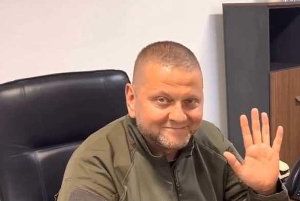 Украине нужен свой де Голль: президентская кампания Залужного началась
