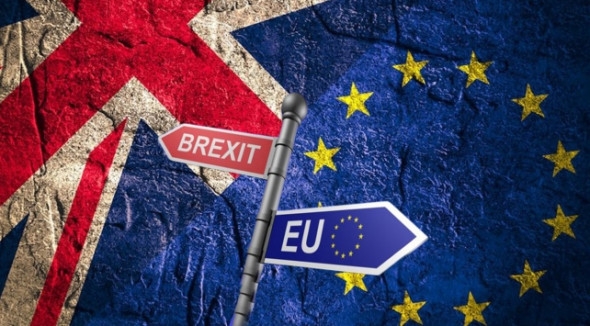 Выход из Европейского союза