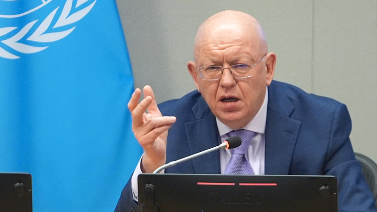 Russia’s UN envoy dismisses Zelensky ‘PR stunt’