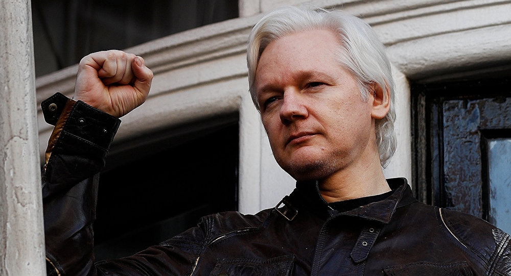 WikiLeaks Founder Assange Granted Ecuadorian Passport - Reports