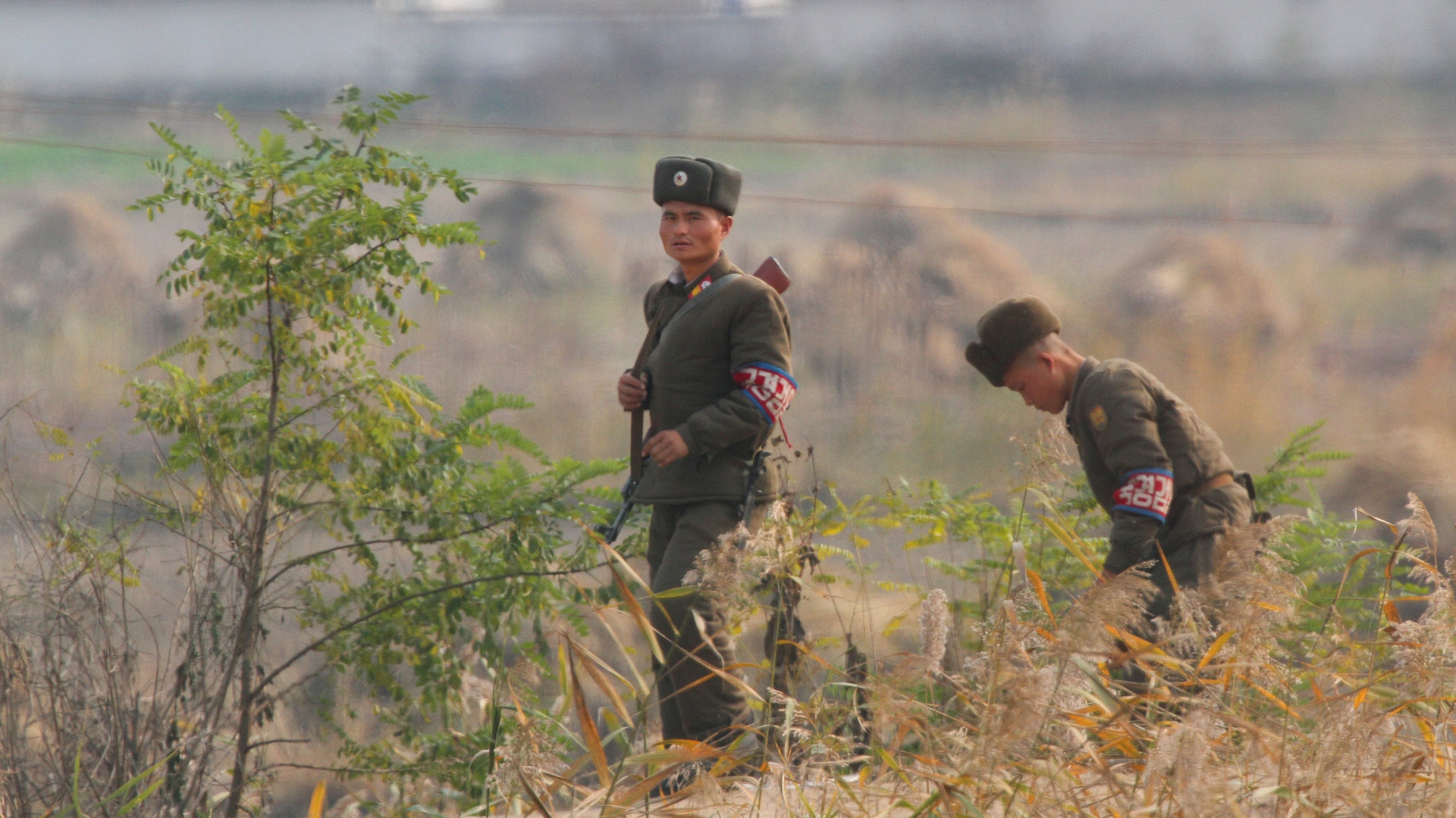Дело тёмное: в КНДР прошли массовые учения по эвакуации населения и светомаскировке