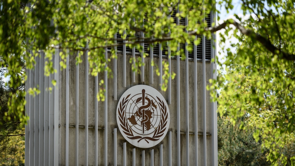 Germany decries ‘disappointing backlash’ for global health in swipe at Trump’s split from WHO