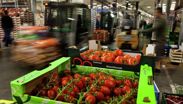 СМИ: США давят на ЕС, чтобы добиться уступок на экспорт сельхозпродукции