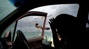 Урагану "Джульет" в Тихом океане присвоили третью категорию