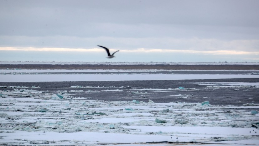 Ледоход на реке Енисей в районе Дудинского морского порта