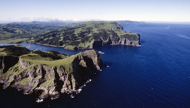 В Кремле прокомментировали переговоры с Токио о заключении мирного договора