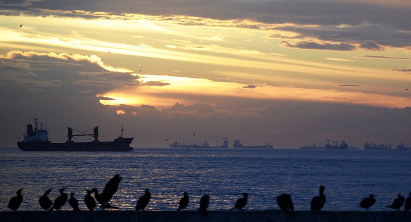 Captain of Russian Fishing Vessel Released by Ukraine Court