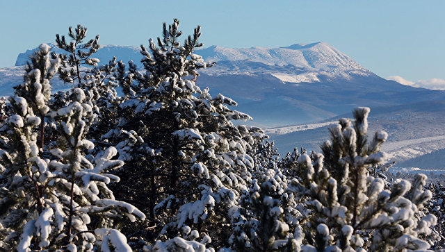 Делегация немецких парламентариев прибыла в Крым