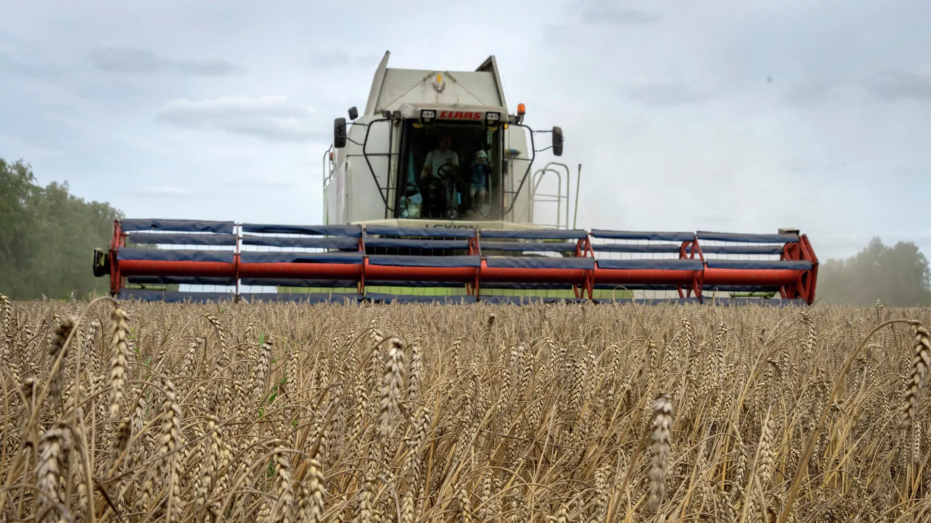 Russia Ready to Replace Ukrainian Grain - Senior Lawmaker