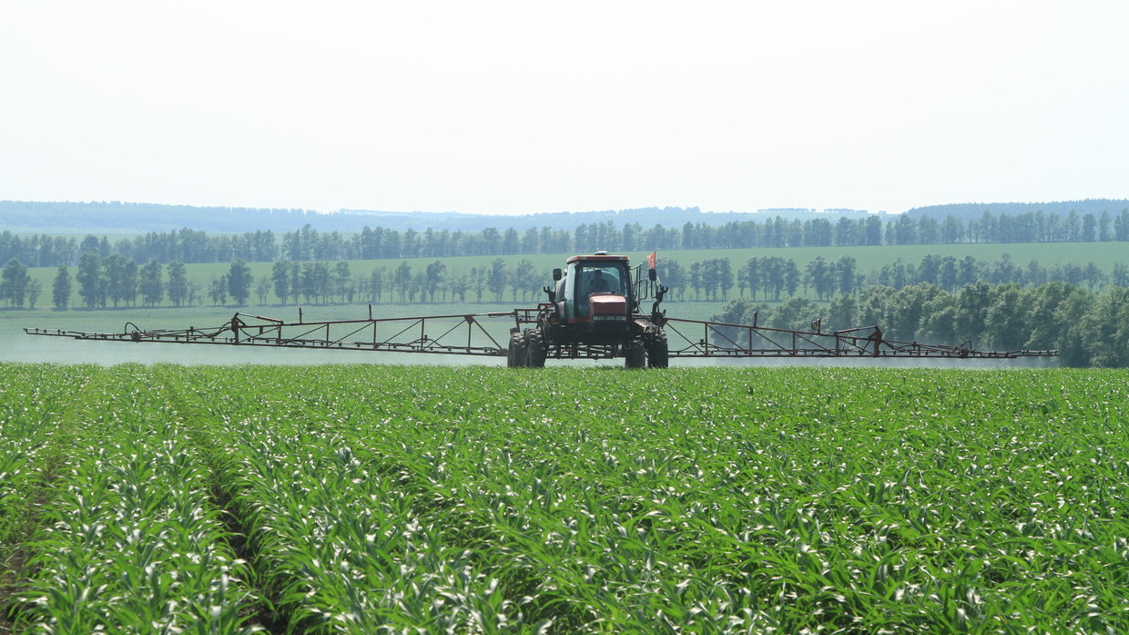 Hunger games: How the world's farmers have become collateral victims of sanctions against Russia