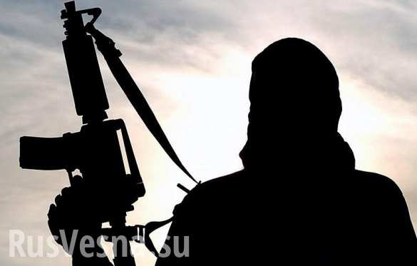 Клинтон всё знала