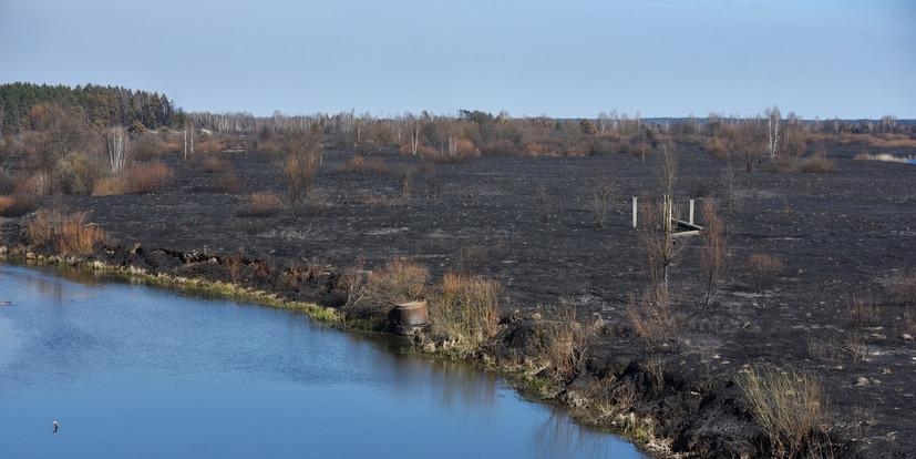Дождь спас Украину от радиационного заражения