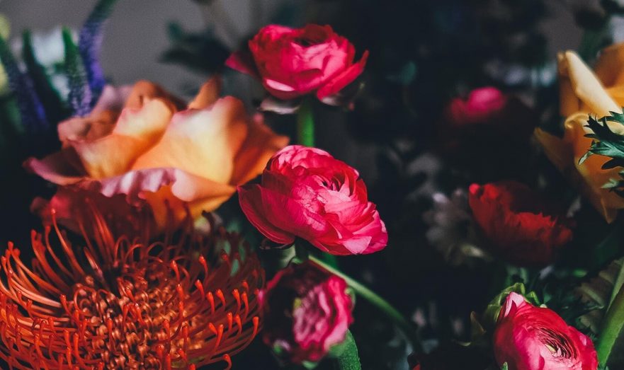 Фото: Annie Spratt / unsplash.com