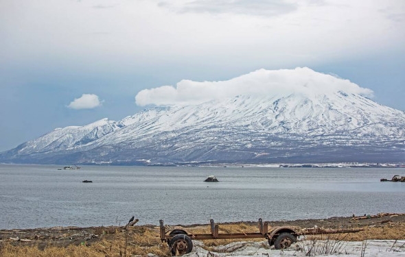 Компартия Японии считает, что переговоры с РФ должны касаться всего Курильского архипелага