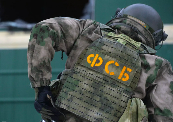 ФСБ задержала в девяти городах украинских неонацистов, готовивших взрывы