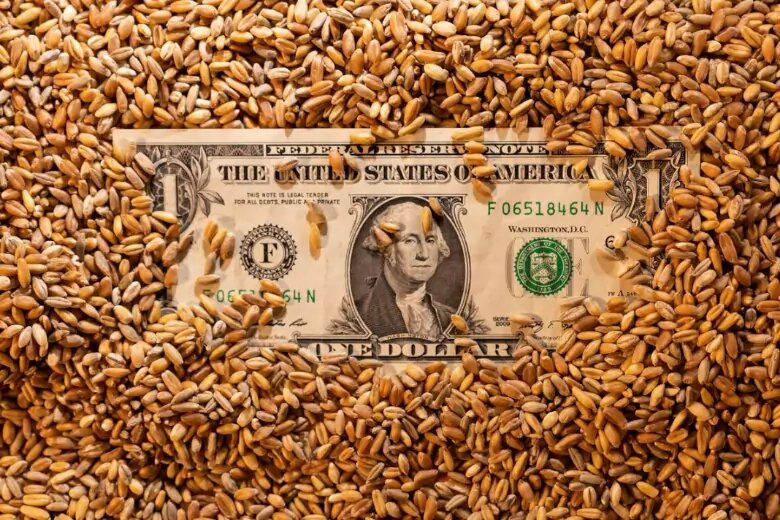 Кто захватил по дешёвке весь украинский чернозём