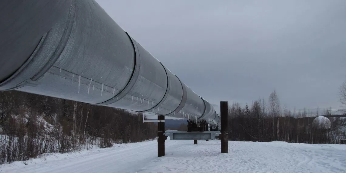Украинская часть нефтепровода "Дружба" частично остановлена