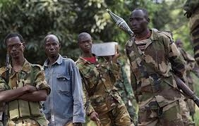 В ЦАР повстанцы поставили ультиматум о выводе российских военных