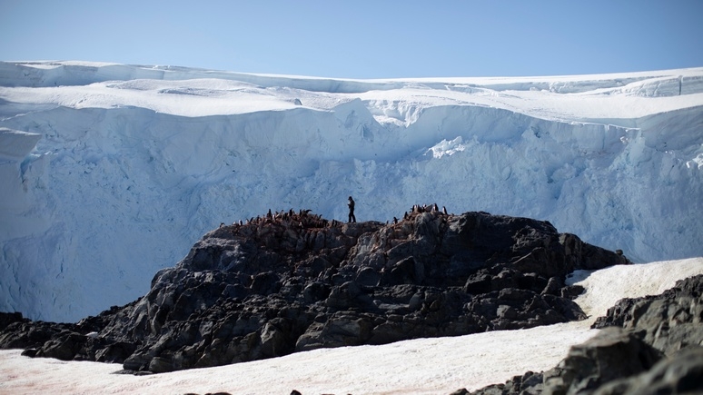 Monde: в Антарктиде собираются построить первый университет