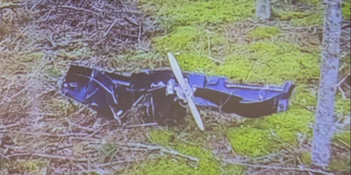 Власти Финляндии объяснили, почему не сбили залетевшие украинские дроны