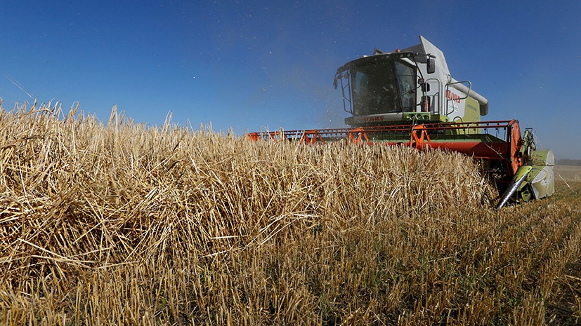«Преступление против собственной страны»: Зеленский подписал закон об отмене моратория на продажу сельхозземель