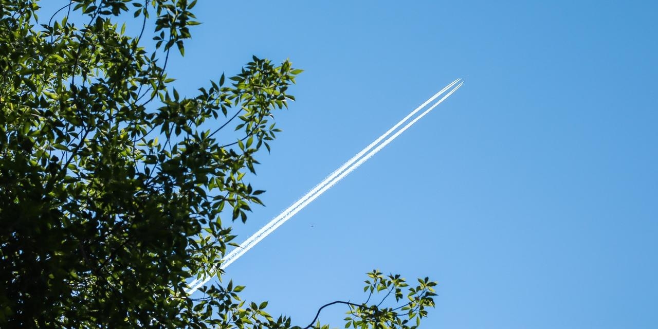 В ЕС рассказали о решении не открывать границы для россиян с 1 июля