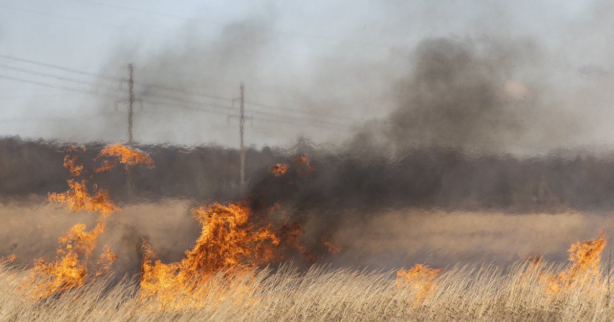 Украина начала поджигать поля с пшеницей на границе с Херсонской областью