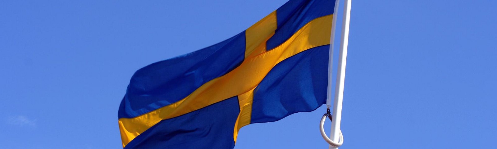Sweden Warns Citizens Going to Fight in Ukraine May Become a Threat Upon Return